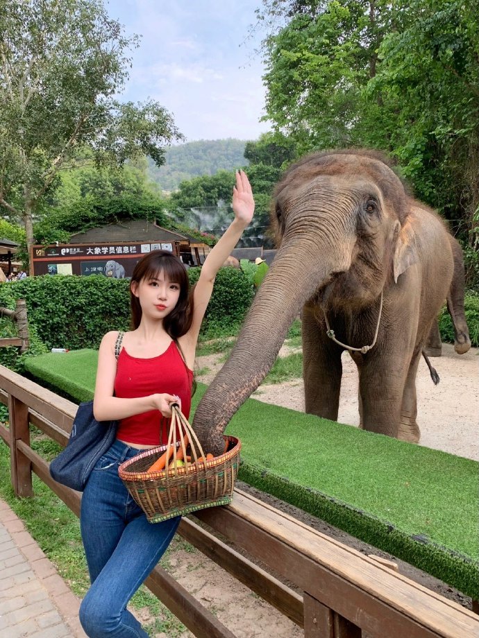 射雕英雄传之东成西就 封面